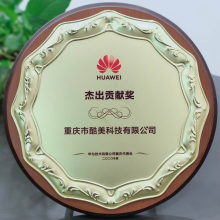 2020-華為-杰出貢獻獎