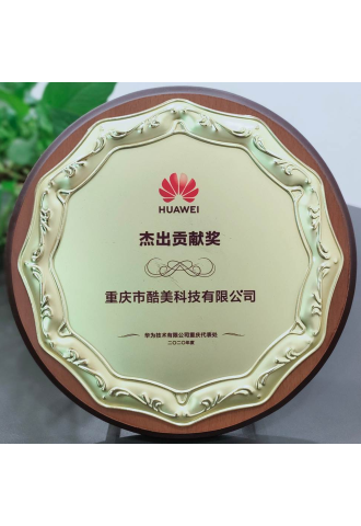 2020-華為-杰出貢獻(xiàn)獎(jiǎng)